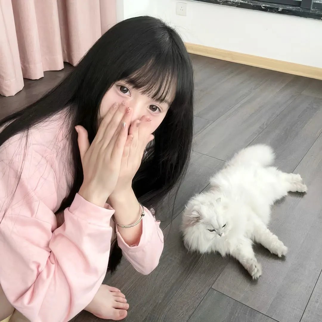 猫咪后院之家