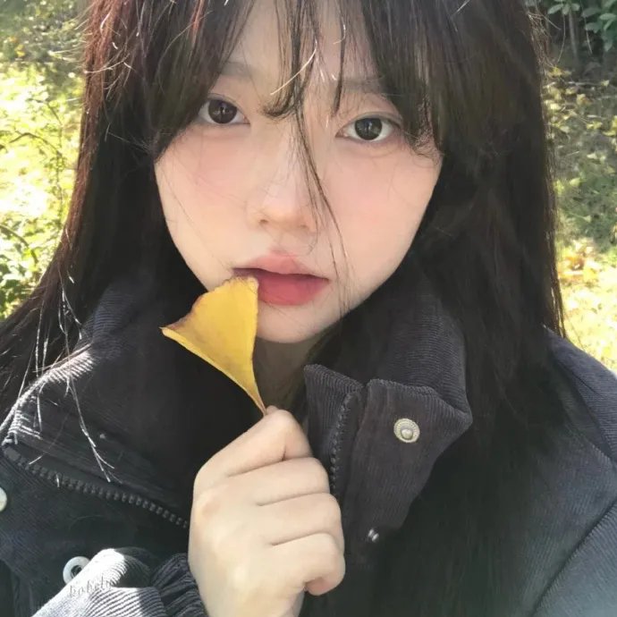 蜂蜜与四叶草